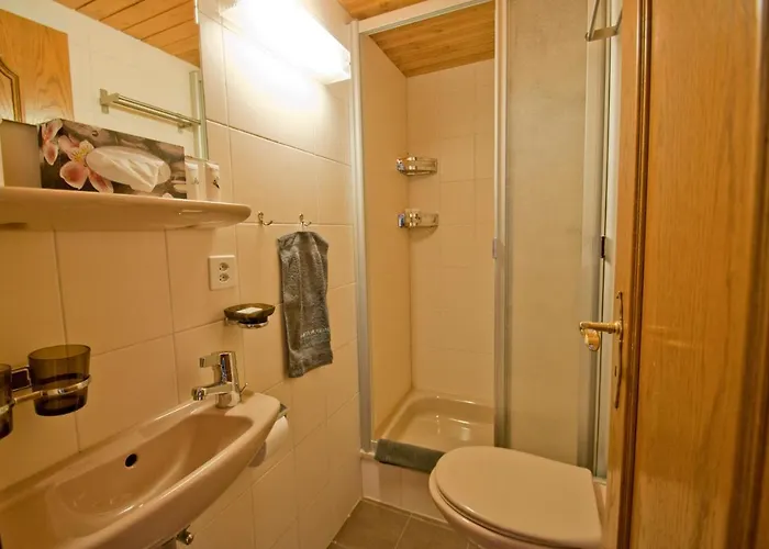 Bellevue, Alpina Apartamento Zermatt